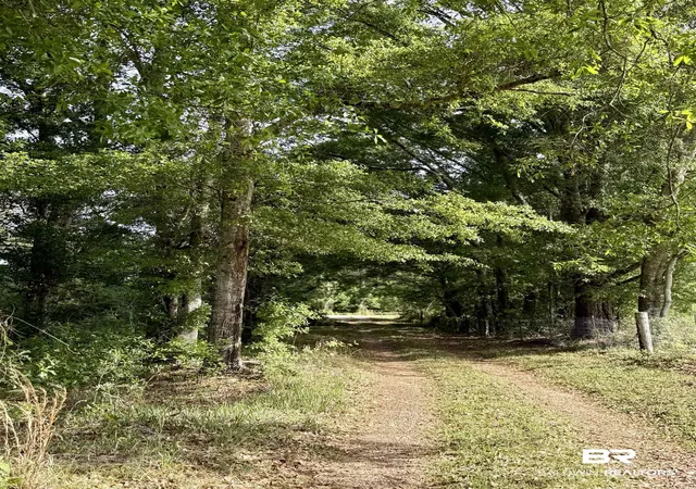 Photo 1 of Land for sale at 19160 County Rd 68, Robertsdale, AL 36567 | MLS# 395391 | Listing updated on 2026-08-26