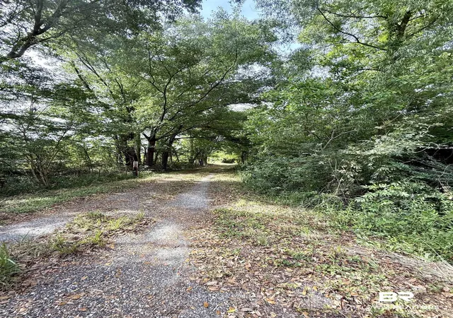 Photo 2 of Land for sale at 19160 County Rd 68, Robertsdale, AL 36567 | MLS# 395391 | Listing updated on 2026-08-26