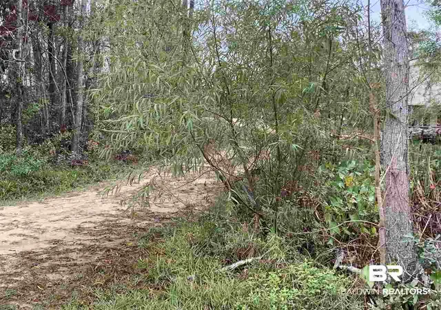 Photo 4 of Land for sale at 15861 Juniper Ln, Summerdale, AL 36580 | MLS# 398368 | Listing updated on 2026-08-02