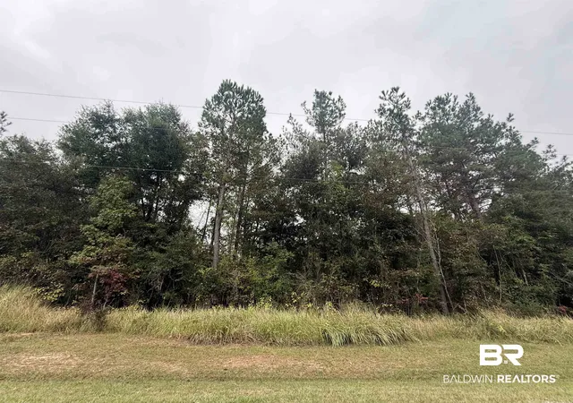 Photo 1 of Land for sale at 36636 Legacy Way, Bay Minette, AL 36507 | MLS# 395836 | Listing updated on 2026-08-02