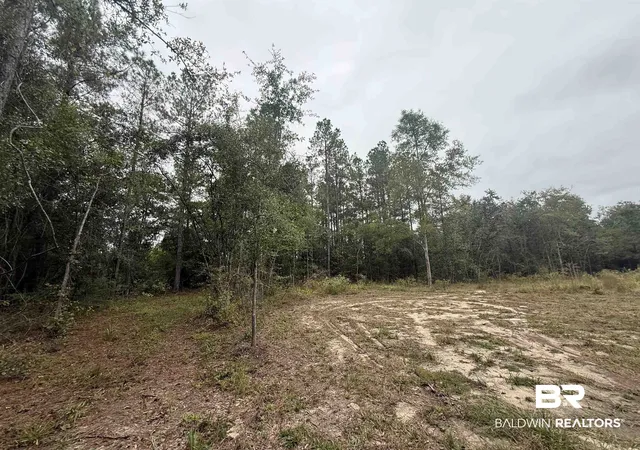 Photo 3 of Land for sale at 36636 Legacy Way, Bay Minette, AL 36507 | MLS# 395836 | Listing updated on 2026-08-02