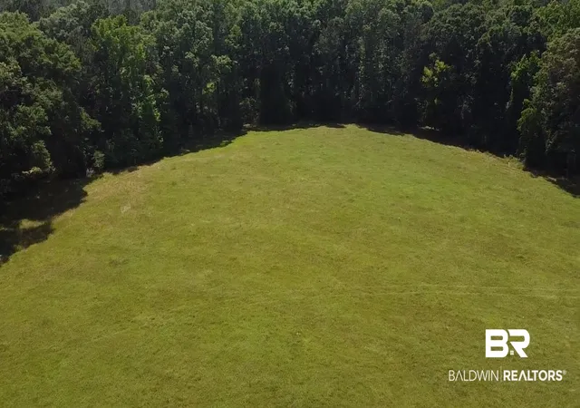 Photo 3 of Land for sale at 6000 Block Scranage Rd, Atmore, AL 36502 | MLS# 379314 | Listing updated on 2026-07-30