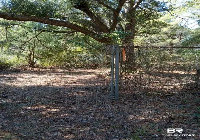 Photo 12 of Land for sale at 9050 Rice Crk Rd, Stockton, AL 36579 | MLS# 396048 | Listing updated on 2026-08-28