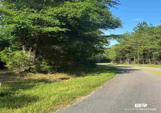 Photo 3 of Land for sale at 9050 Rice Crk Rd, Stockton, AL 36579 | MLS# 396048 | Listing updated on 2026-08-28