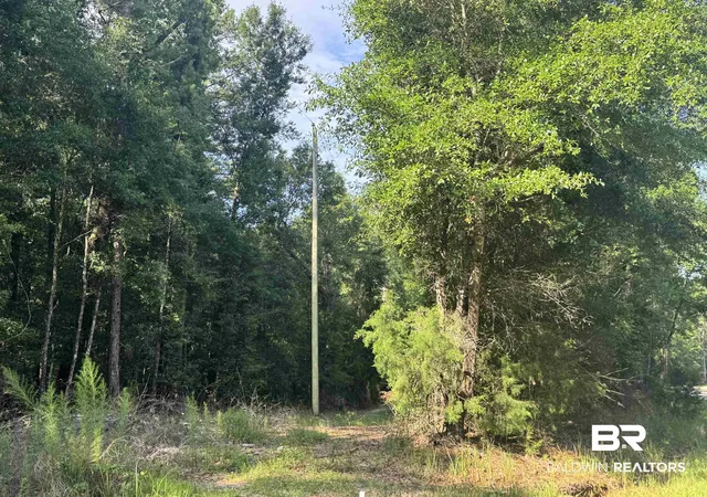 Photo 3 of Land for sale at 9050 Rice Crk Rd, Stockton, AL 36579 | MLS# 396048 | Listing updated on 2026-08-28