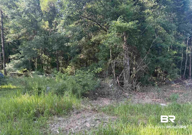 Photo 4 of Land for sale at 9050 Rice Crk Rd, Stockton, AL 36579 | MLS# 396048 | Listing updated on 2026-08-28
