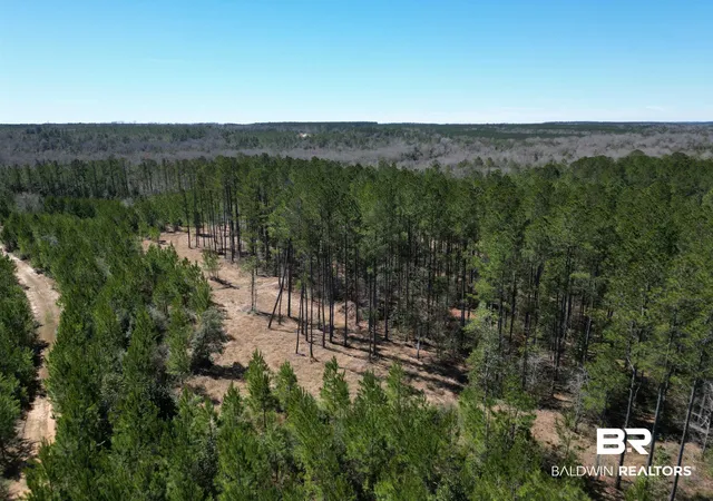 1st image of 10 Robinsonville Rd, Atmore, AL 36502 | MLS# 390192
