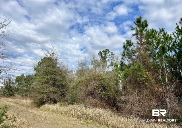 2nd image of 0 Montelucia Way, Daphne, AL 36526 | MLS# 390036