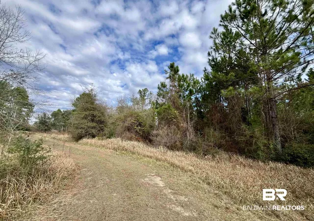 3rd image of 0 Montelucia Way, Daphne, AL 36526 | MLS# 390036
