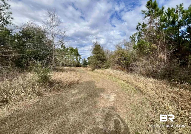 5th image of 0 Montelucia Way, Daphne, AL 36526 | MLS# 390036