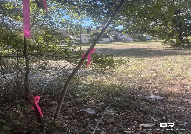 Photo 3 of Land for sale at 317 Magnolia Dr, Gulf Shores, AL 36542 | MLS# 393641 | Listing updated on 2026-08-07