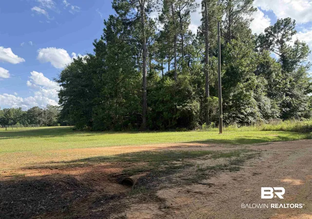 1st image of 0 Hall Crk Rd, Brewton, AL 36426 | MLS# 399565