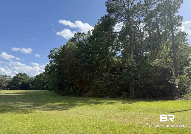 2nd image of 0 Hall Crk Rd, Brewton, AL 36426 | MLS# 399565
