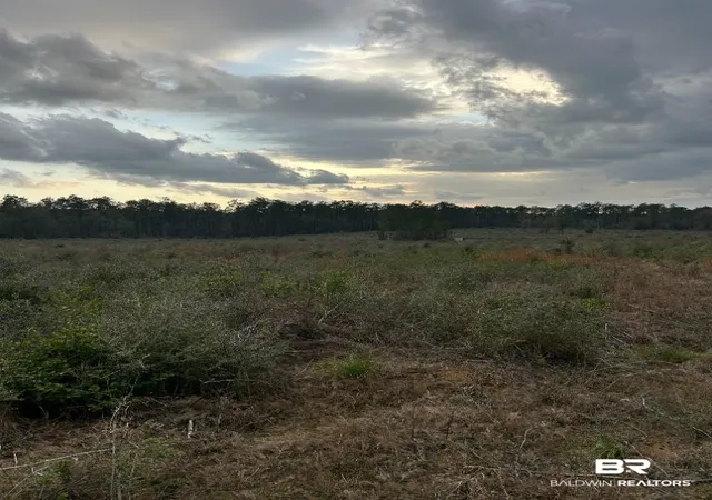 2nd image of 0 Us Hwy 29, Brewton, AL 36426 | MLS# 392388