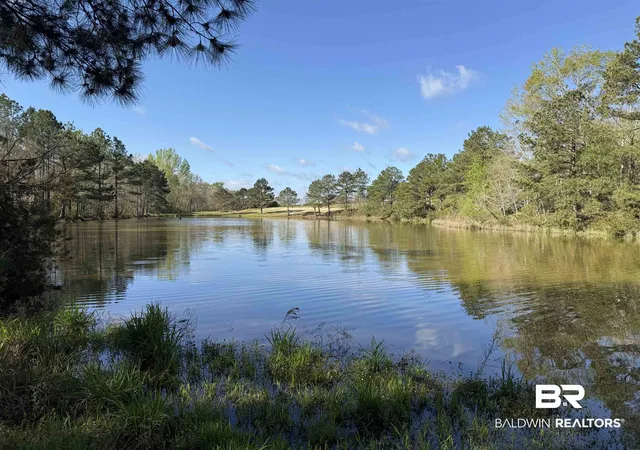 Photo 1 of Land for sale at 0 Gap Weekley Rd, Perdido, AL 36562 | MLS# 393960 | Listing updated on 2026-07-24