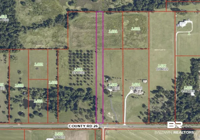 Land for sale at 0 County Rd 26, Foley, AL 36535 | MLS# 399395