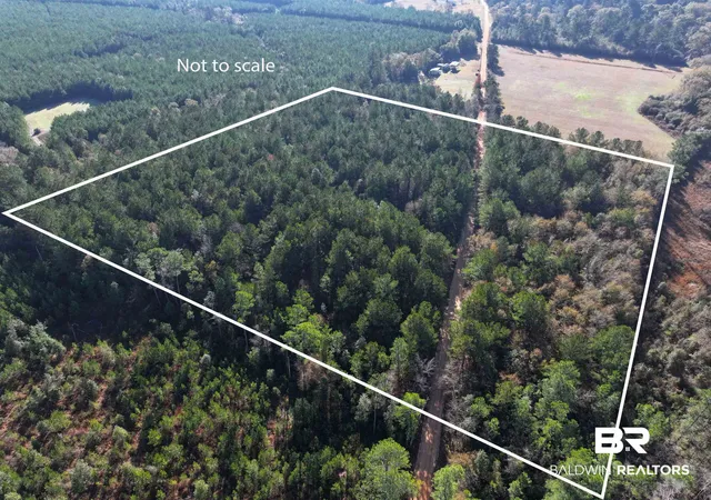 1st image of 0 Judge Level Rd, Brewton, AL 36426 | MLS# 399376