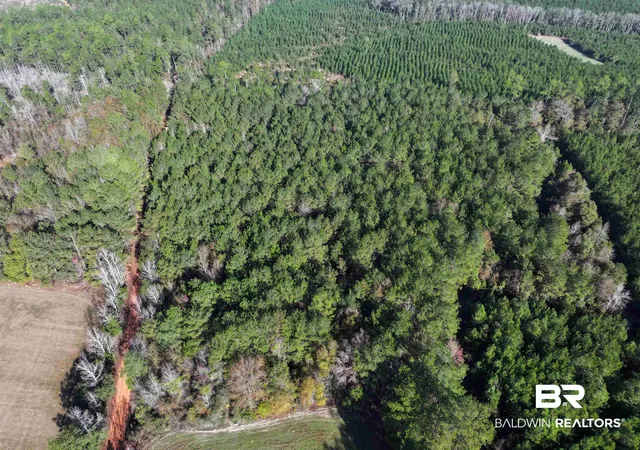2nd image of 0 Judge Level Rd, Brewton, AL 36426 | MLS# 399376