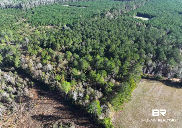 Photo 3 of Land for sale at 0 Judge Level Rd, Brewton, AL 36426 | MLS# 399376 | Listing updated on 2026-07-24