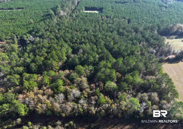 Photo 3 of Land for sale at 0 Judge Level Rd, Brewton, AL 36426 | MLS# 399376 | Listing updated on 2026-07-24