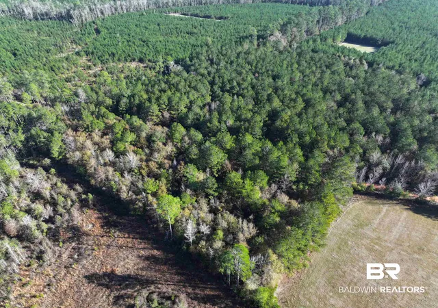 Photo 4 of Land for sale at 0 Judge Level Rd, Brewton, AL 36426 | MLS# 399376 | Listing updated on 2026-07-24