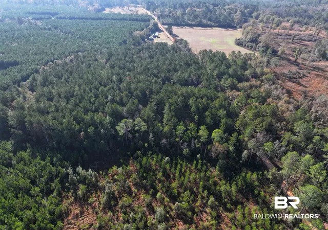 9th image of 0 Judge Level Rd, Brewton, AL 36426 | MLS# 399376
