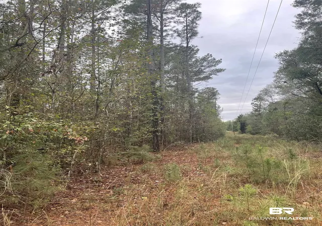 4th image of 0 County Rd 47, Perdido, AL 36562 | MLS# 370403