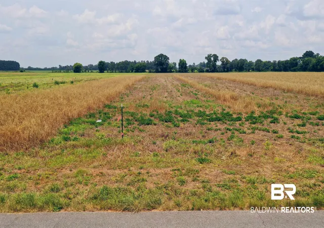 Photo 3 of Land for sale at 1 Shell Rd, Jay, FL 32565 | MLS# 381039 | Listing updated on 2026-07-30