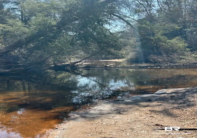 Photo 1 of Land for sale at 0 Wolf Log Rd, Flomaton, AL 36441 | MLS# 392152 | Listing updated on 2026-07-24