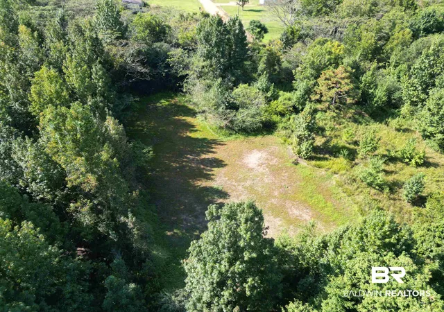2nd image of 00 Wiggins Rd, Frisco City, AL 36445 | MLS# 384854