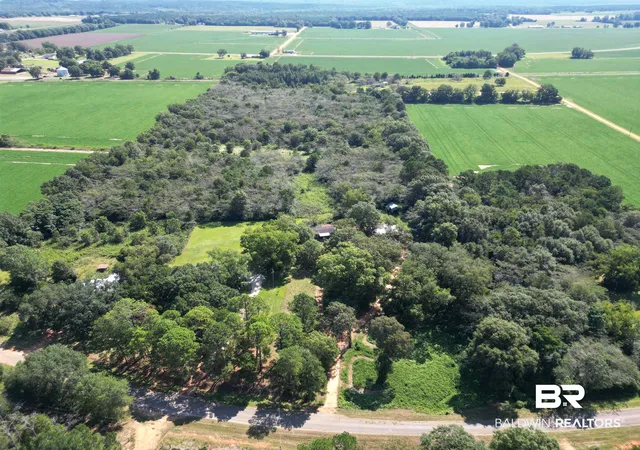 Photo 3 of Land for sale at 00 Wiggins Rd, Frisco City, AL 36445 | MLS# 384854 | Listing updated on 2026-07-24