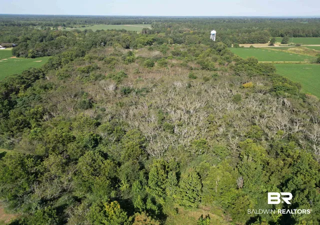 Photo 3 of Land for sale at 00 Wiggins Rd, Frisco City, AL 36445 | MLS# 384854 | Listing updated on 2026-07-24