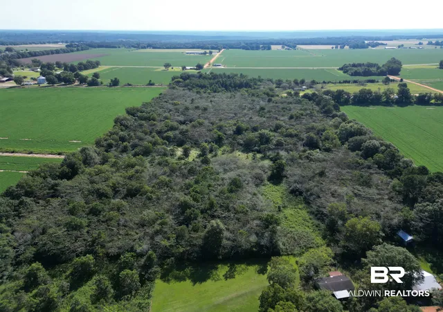 Photo 4 of Land for sale at 00 Wiggins Rd, Frisco City, AL 36445 | MLS# 384854 | Listing updated on 2026-07-24
