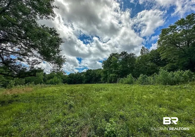 2nd image of 0 Loree Road Loree Road, Evergreen, AL 36401 | MLS# 405587