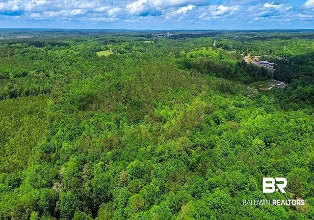 Photo 3 of Land for sale at 0 Loree Rd, Evergreen, AL 36401 | MLS# 405587 | Listing updated on 2026-09-04