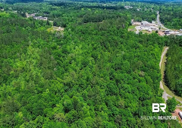 Photo 3 of Land for sale at 0 Loree Rd, Evergreen, AL 36401 | MLS# 405587 | Listing updated on 2026-09-04