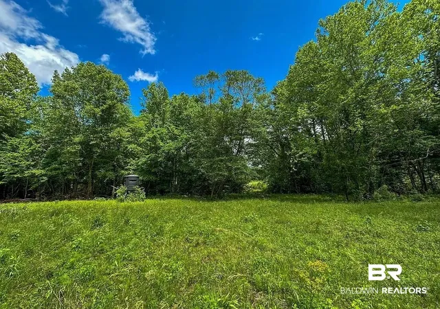 Photo 4 of Land for sale at 0 Loree Rd, Evergreen, AL 36401 | MLS# 405587 | Listing updated on 2026-09-04