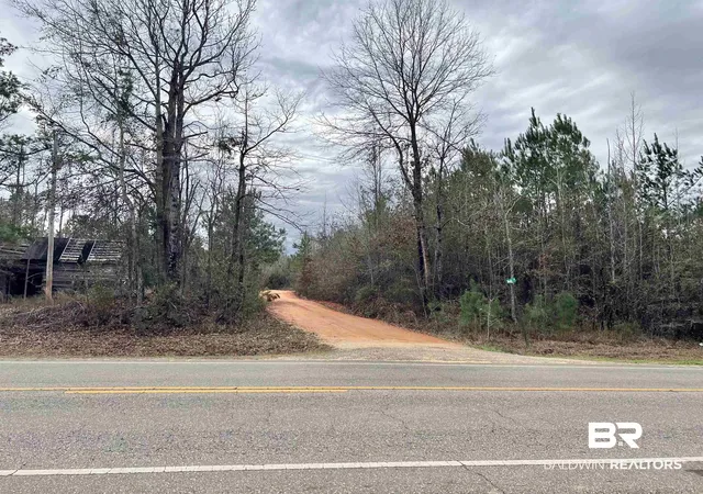 17th image of 21000 Block Hwy 21, Beatrice, AL 36425 | MLS# 389672