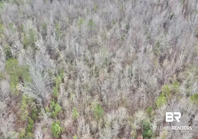 Photo 3 of Land for sale at 21000 Block Hwy 21, Beatrice, AL 36425 | MLS# 389672 | Listing updated on 2026-07-24