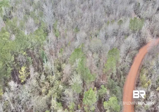 Photo 3 of Land for sale at 21000 Block Hwy 21, Beatrice, AL 36425 | MLS# 389672 | Listing updated on 2026-07-24
