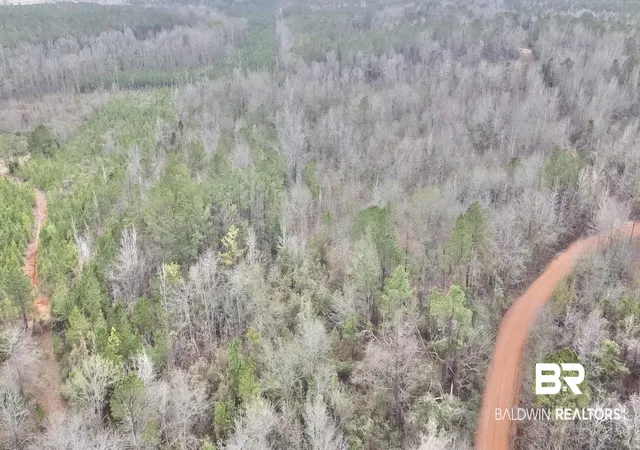 Photo 4 of Land for sale at 21000 Block Hwy 21, Beatrice, AL 36425 | MLS# 389672 | Listing updated on 2026-07-24