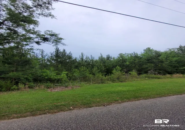 Photo 2 of Land for sale at 0 Peterson Ln, Bay Minette, AL 36507 | MLS# 396388 | Listing updated on 2026-09-15