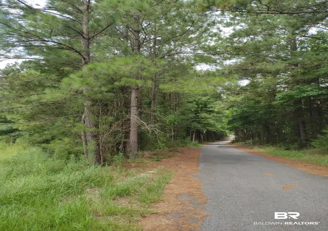 1st image of 5 Gap Weekley Rd, Perdido, AL 36562 | MLS# 388281