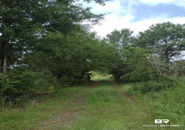 2nd image of 5 Gap Weekley Rd, Perdido, AL 36562 | MLS# 388281