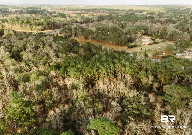 Photo 4 of Land for sale at 0 Rosie's Rd, Mobile, AL 36693 | MLS# 373971 | Listing updated on 2026-07-28