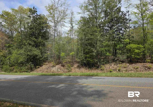 Photo 2 of Land for sale at 12185 Red Hl Rd Ext, Bay Minette, AL 36507 | MLS# 394313 | Listing updated on 2026-08-02