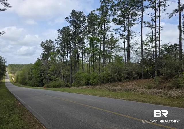 Photo 3 of Land for sale at 12185 Red Hl Rd Ext, Bay Minette, AL 36507 | MLS# 394313 | Listing updated on 2026-08-02
