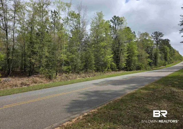 Photo 3 of Land for sale at 12185 Red Hl Rd Ext, Bay Minette, AL 36507 | MLS# 394313 | Listing updated on 2026-08-02