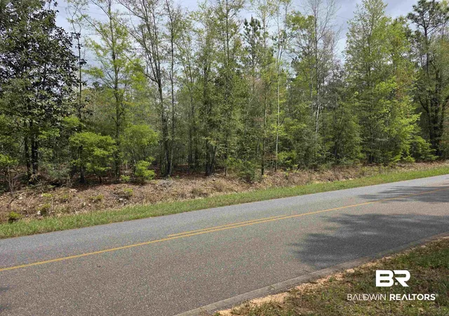 Photo 4 of Land for sale at 12185 Red Hl Rd Ext, Bay Minette, AL 36507 | MLS# 394313 | Listing updated on 2026-08-02