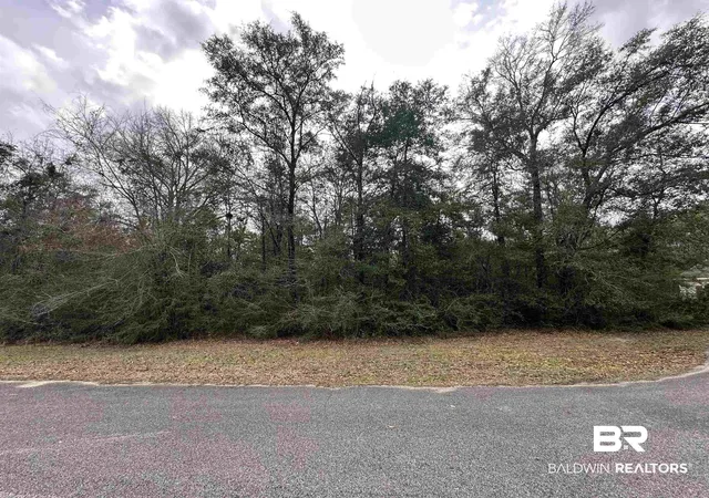 Photo 2 of Land for sale at 0 Timber Springs Dr, Wilmer, AL 36587 | MLS# 390629 | Listing updated on 2026-07-28